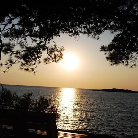 Villa Diomedes With The Sea View And The Pool Rogoznica  Esterno foto